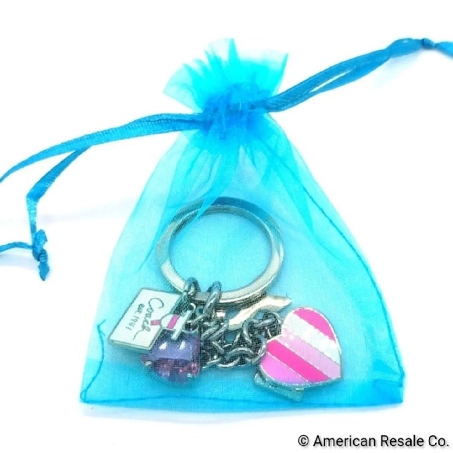 Vintage COACH BCA Breast Cancer Awareness Keychain Fob Multi Purse Charm #92161